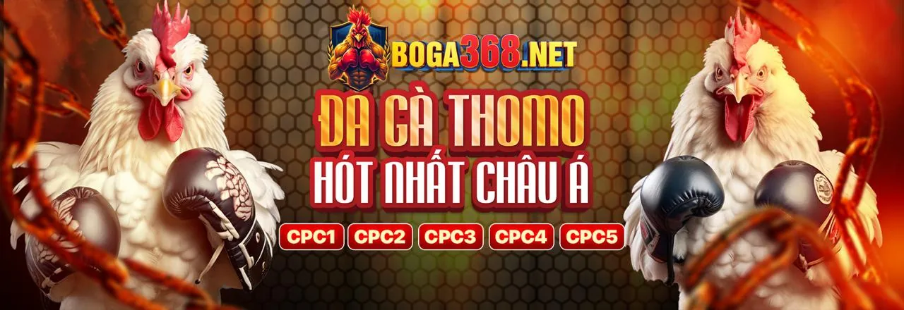 Đá gà trực tuyến e88 Win